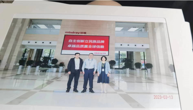 邁瑞醫療供應鏈咨詢項目