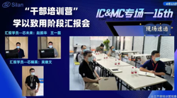 士蘭Q12組織能力診斷項目