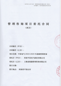平高電氣戰(zhàn)略管理咨詢項目（202⒊-2025年）