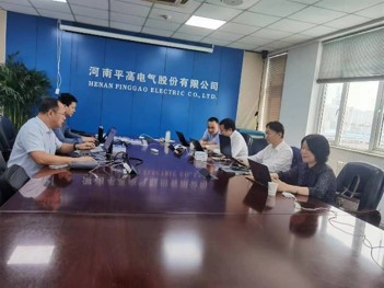 平高電氣戰(zhàn)略管理咨詢項目（202⒊-2025年）