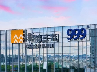 華潤三九專業品牌事業部流程體系建設項目