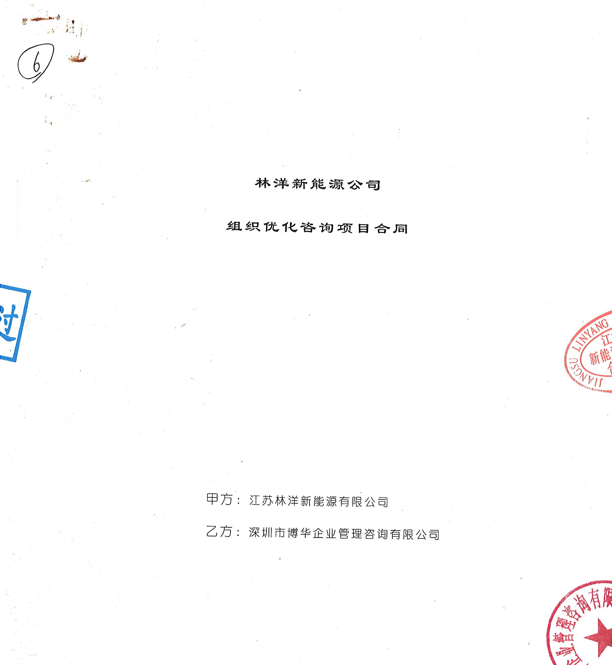江蘇林洋組織優化咨詢項目
