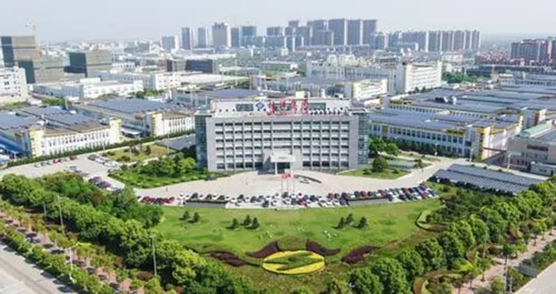 江蘇林洋組織優化咨詢項目