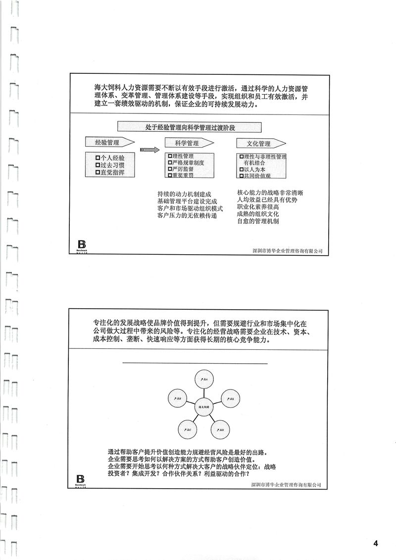 海大集團管理體系評估/人力資源管理體系建設項目
