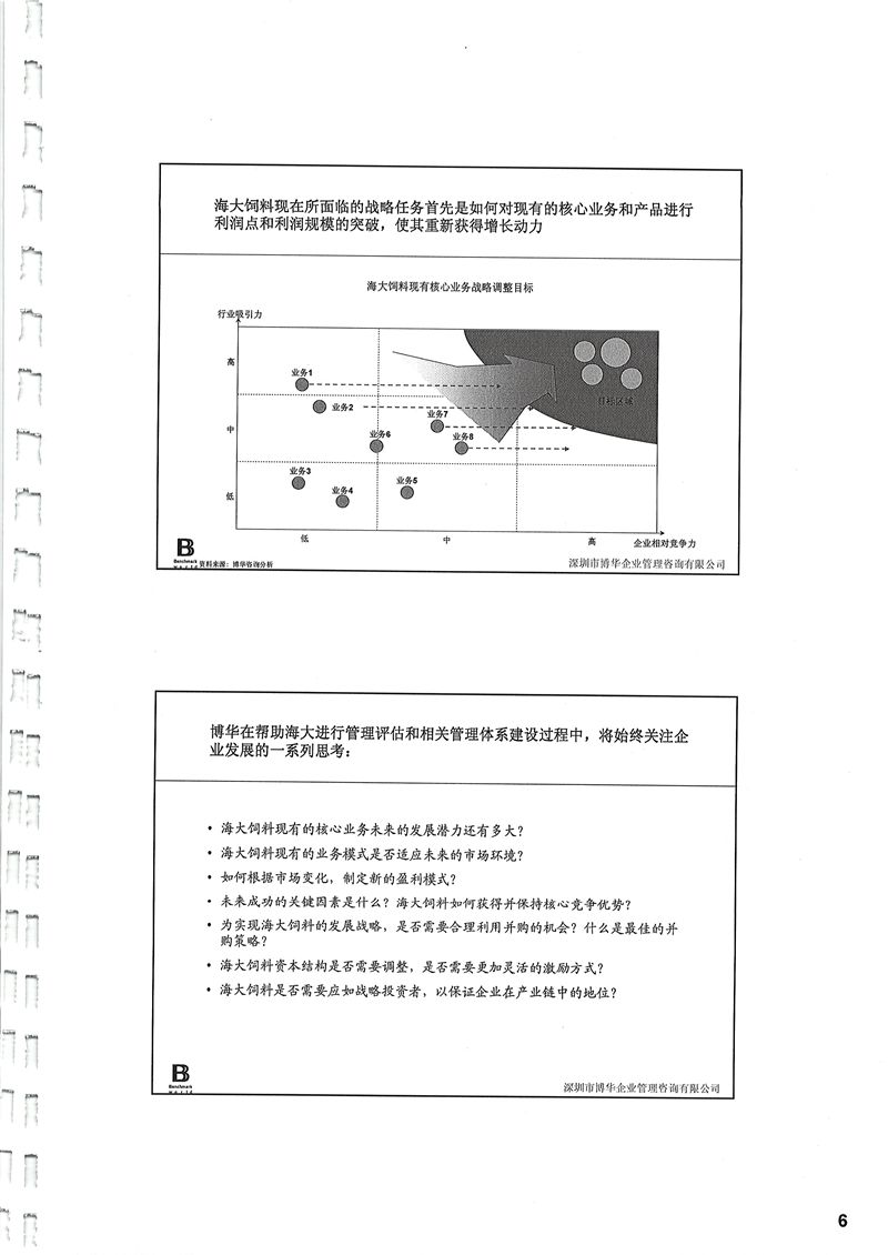 海大集團管理體系評估/人力資源管理體系建設項目
