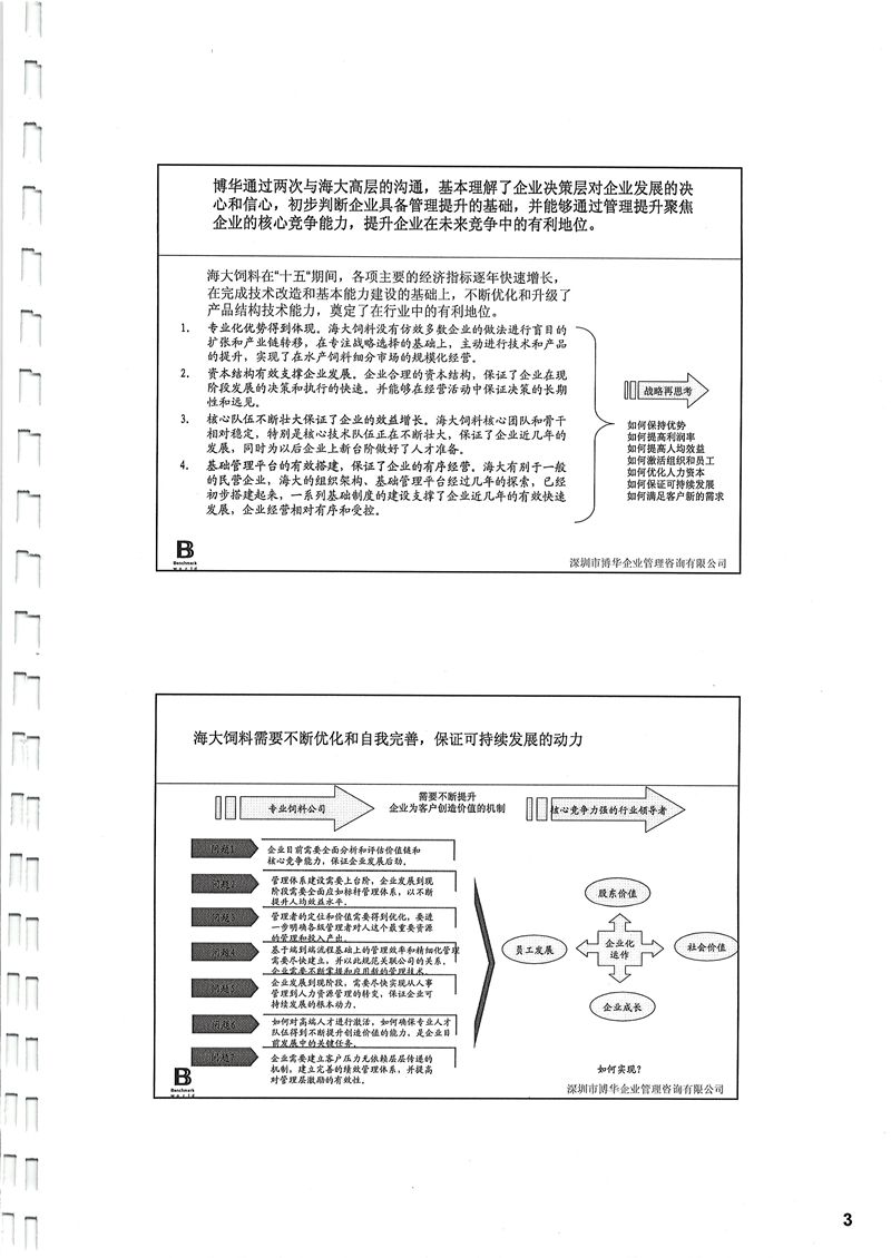 海大集團管理體系評估/人力資源管理體系建設項目