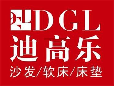 迪高樂人力資源管理提升咨詢項(xiàng)目