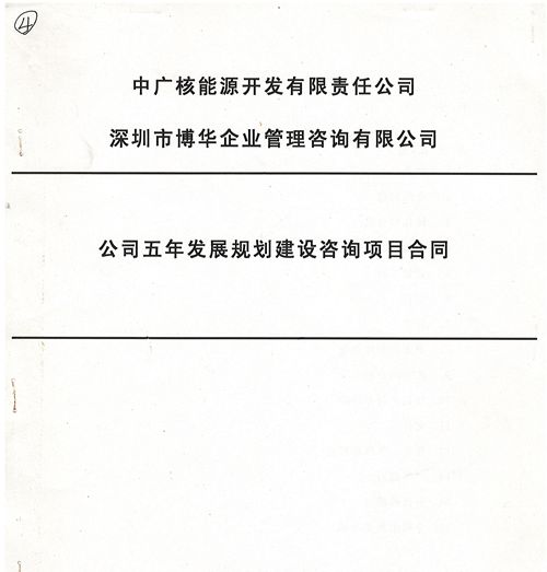中廣核能源公司五年發(fā)展規(guī)劃建設(shè)咨詢(xún)項(xiàng)目