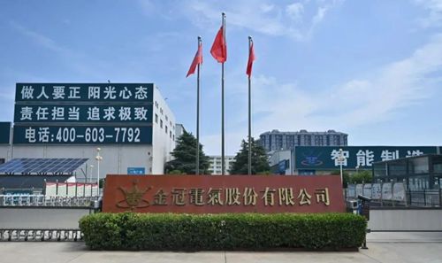 河南金冠集團(tuán)管理提升項(xiàng)目