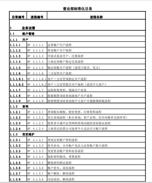 華泰聯合證券流程管理體系建設項目