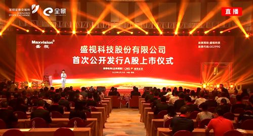 盛視科技管理提升項(xiàng)目