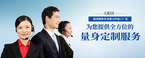 天陽谷法人治理和核心員工股權激勵及銷售體系優化項目