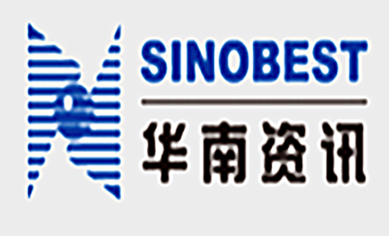 華南資訊任職資格管理體系建設項目