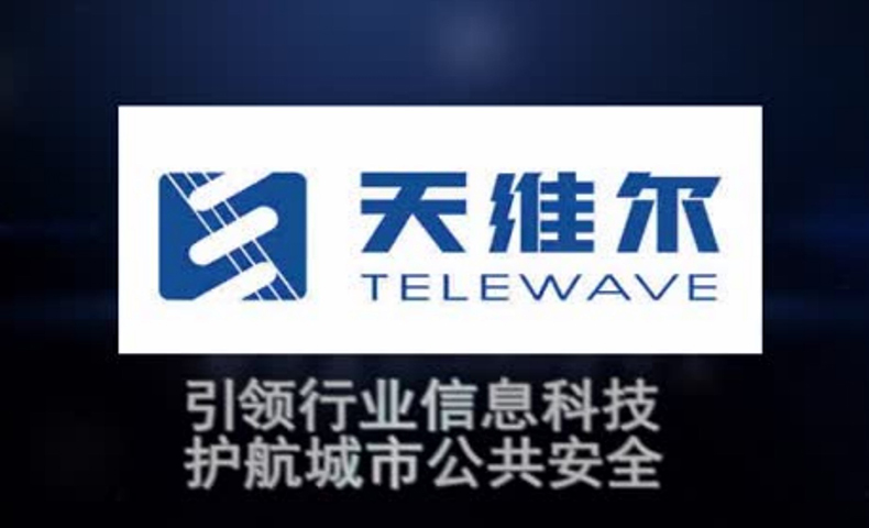 天維爾通信管理體系優化項目