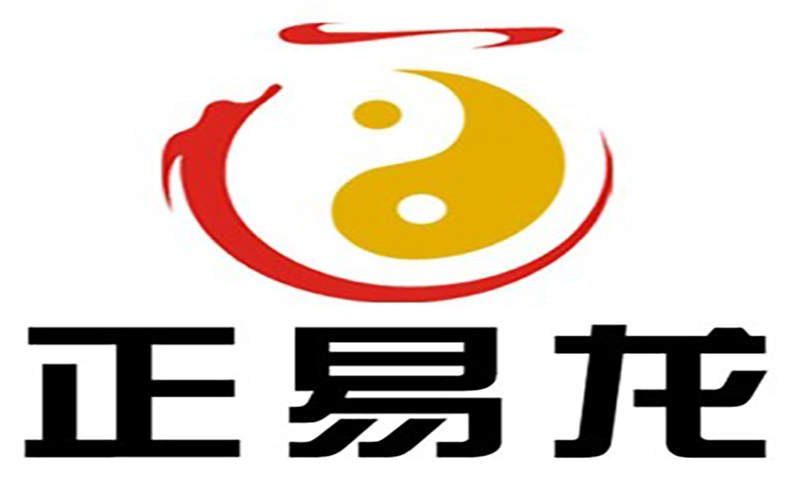 正易龍組織變革與組織能力提升項(xiàng)目