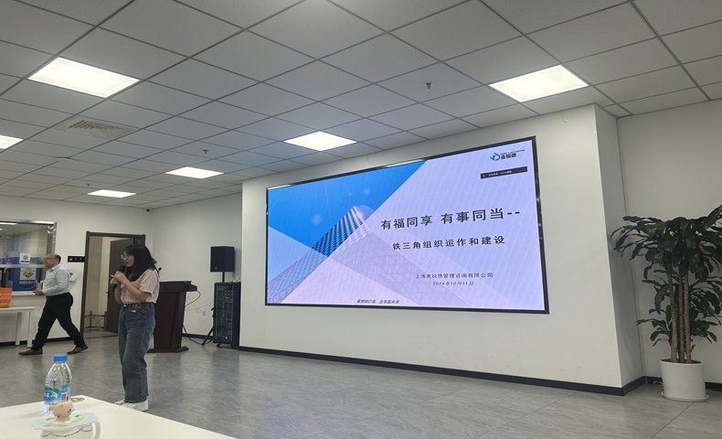蘇納光電營銷LTC咨詢項目